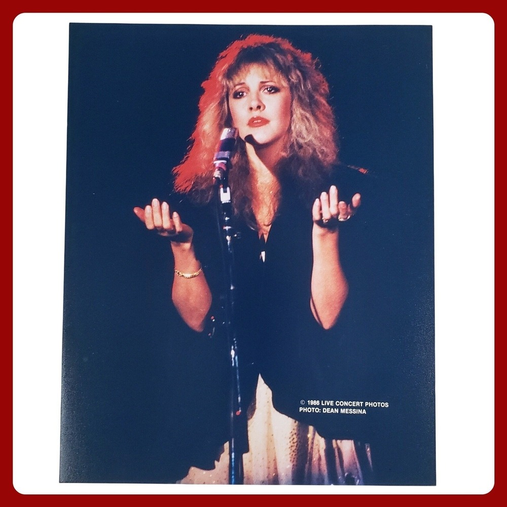 Stevie Nicks Fleetwood Mac Live Concert Photo S&M Rock Photograph 8x10 Matte 33